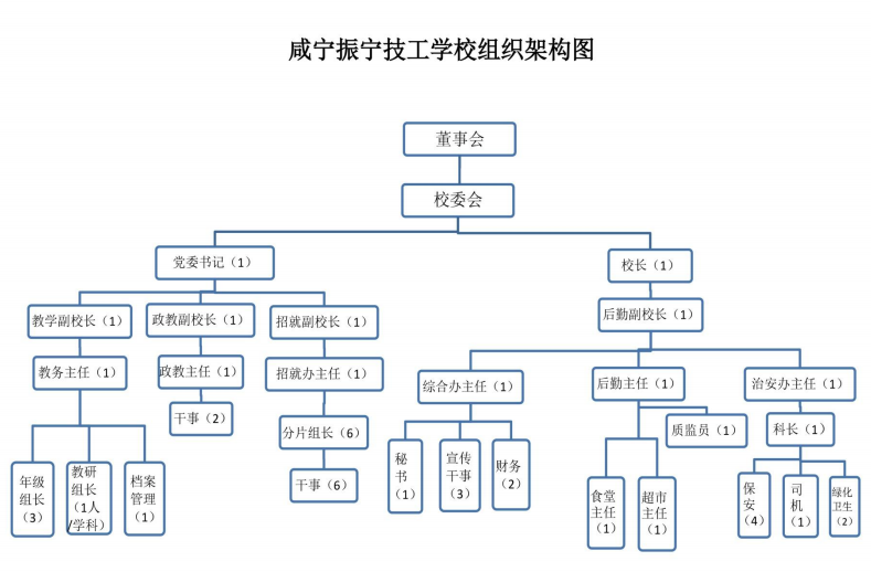 组织结构(图1)