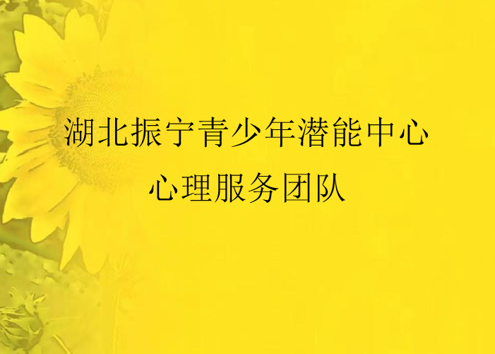 咸宁振宁技工学校携手省心理协会专家团队 共启青少年心理健康服务新征程(图2)